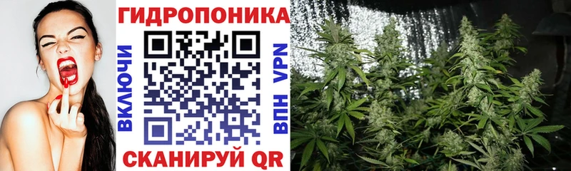 Купить Ивангород Бутират  A PVP  Гашиш  Псилоцибиновые грибы  Cocaine  Амфетамин 