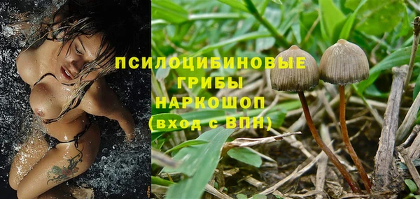 PSILOCYBIN Алексин
