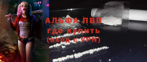 стаф Абинск