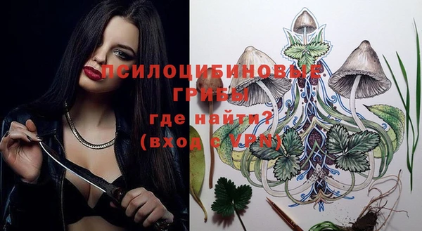 стаф Абинск