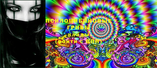 PSILOCYBIN Алексин